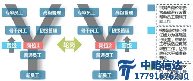 某集团的人才培养咨询